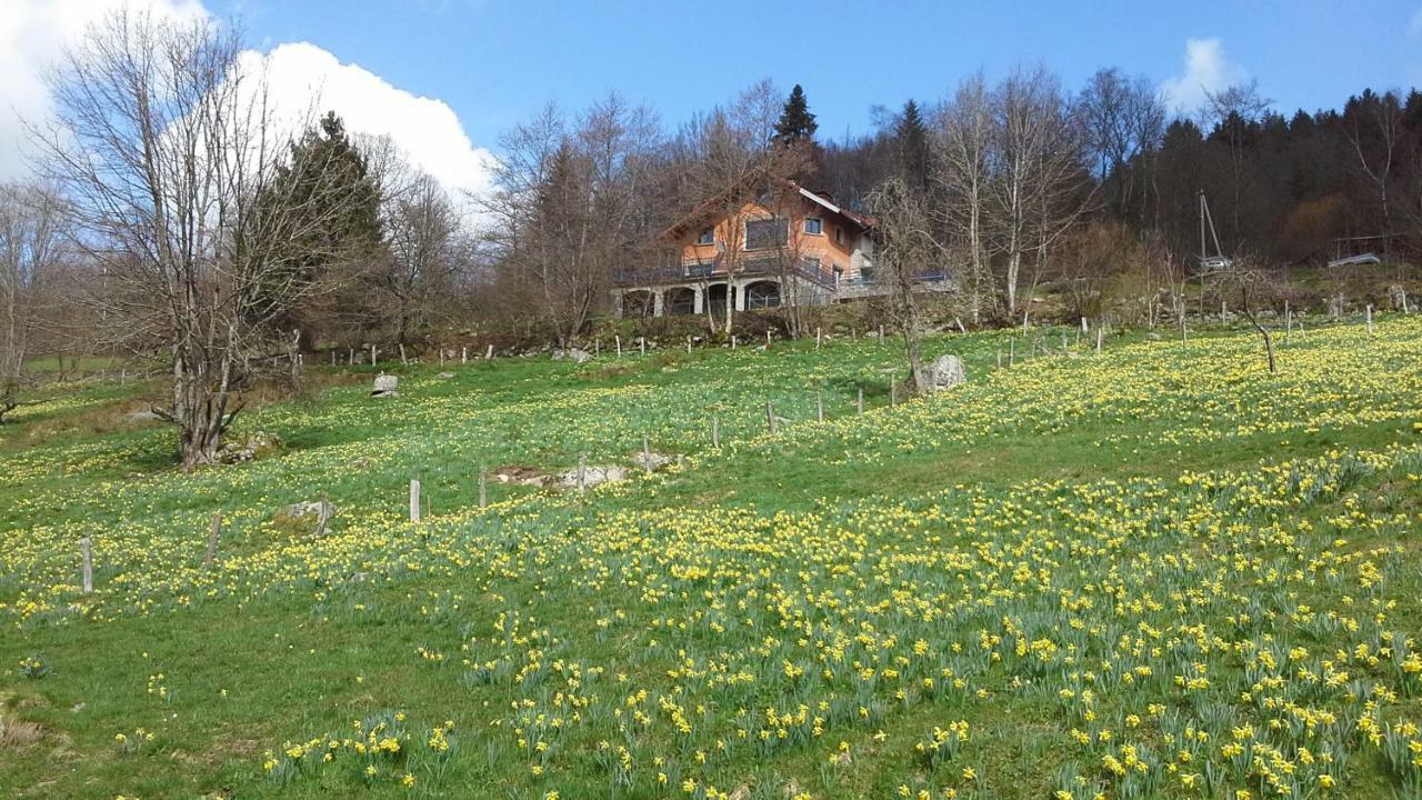 Gite De La Lombarde Le Tholy Esterno foto
